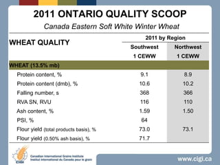 2011 ONTARIO QUALITY SCOOPCanada Eastern Soft White Winter Wheat 