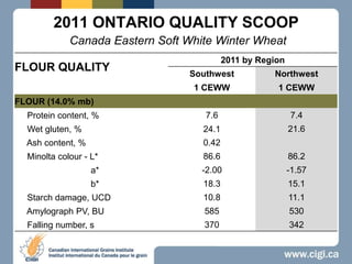 2011 ONTARIO QUALITY SCOOPCanada Eastern Soft White Winter Wheat 