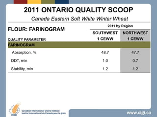 2011 ONTARIO QUALITY SCOOPCanada Eastern Soft White Winter Wheat 