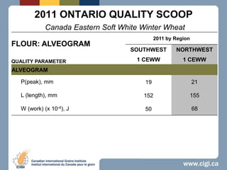 2011 ONTARIO QUALITY SCOOPCanada Eastern Soft White Winter Wheat 