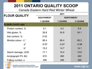 2011 ONTARIO QUALITY SCOOP Canada Eastern Hard Red Winter Wheat 