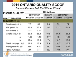 2011 ONTARIO QUALITY SCOOPCanada Eastern Soft Red Winter Wheat 