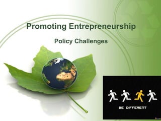Promoting Entrepreneurship 
Policy Challenges 
 