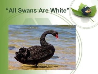 “All Swans Are White” 
 