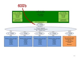 135 
60Gb 
 