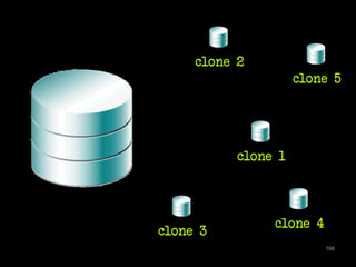 clone 5 
166 
clone 2 
clone 1 
clone 3 
clone 4 
 