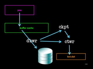 238 
you 
buffer cache 
ckpt 
ctwr 
bct.dat 
dbwr 
 