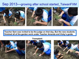 Sep 2013---growing after school started_TaiwanFXM
Teacher Sam was invited to be the judge on that day, But the new students
finished all of the garden work under Teacher Amanda and Vicky’s guide.
Transplant
 