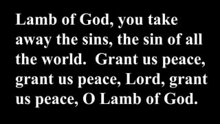 Lamb of God, you take
away the sins, the sin of all
the world. Grant us peace,
grant us peace, Lord, grant
us peace, O Lamb of God.
 