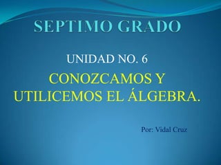 SEPTIMO GRADO UNIDAD NO. 6 CONOZCAMOS Y UTILICEMOS EL ÁLGEBRA. Por: Vidal Cruz 
