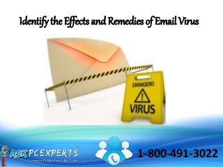 1-800-491-3022
Identify the Effects and Remedies of Email Virus
 