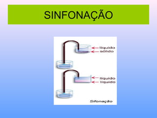 SINFONAÇÃO
 