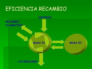 EFICIENCIA RECAMBIO SINTESIS CATABOLISMO MASA IV MASA EV RECAMBIO PLASMATICO 