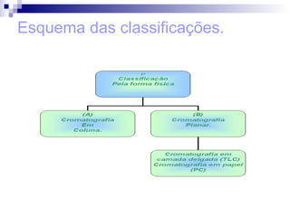 Esquema das classificações.   