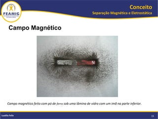 Conceito
Separação Magnética e Eletrostática
15Luzélia Felix
Campo Magnético
Campo magnético feito com pó de ferro sob uma lâmina de vidro com um imã na parte inferior.
 
