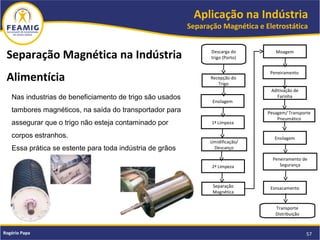 Aplicação na Indústria
Separação Magnética e Eletrostática
57Rogério Papa
Nas industrias de beneficiamento de trigo são usados
tambores magnéticos, na saída do transportador para
assegurar que o trigo não esteja contaminado por
corpos estranhos.
Essa prática se estente para toda indústria de grãos
Separação Magnética na Indústria
Alimentícia
Descarga do
trigo (Porto)
Recepção do
Trigo
Ensilagem
1ª Limpeza
Umidificação/
Descanço
2ª Limpeza
Separação
Magnética
Moagem
Peneiramento
Aditivação de
Farinha
Pesagem/ Transporte
Pneumático
Ensilagem
Peneiramento de
Segurança
Esnsacamento
Transporte
Distribuição
 