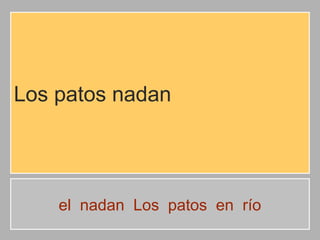 Los patos nadan

el nadan Los patos en río

 