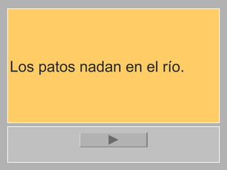 Los patos nadan en el río.

 
