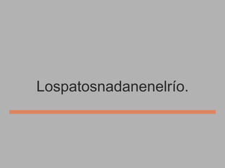Lospatosnadanenelrío.

 
