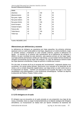 Universidad Nacional José Faustino Sánchez Carrión
Escuela Profesional de Zootecnia.
Alfalfa
(Siembra)
(Mantenimiento)
Rye grass ingles
Rye grass italiano
Rye grass hibrido
Avena forrajera
Cebada forrajera
Festuca alta
Trébol blanco
Trébol rojo
20
00
50
50
60
60
50
60
20
10
100
80
80
80
100
80
80
80
100
80
50
50
50
50
60
20
50
60
50
50
Fuente: INCAGRO, 2010.
Alteraciones por deficiencias y excesos
La deficiencia de nitrógeno se caracteriza por hojas pequeñas, los primeros síntomas
aparecen como un color verde pálido en las hojas, seguido por un verde amarillento, luego
un amarillo verdoso y finalmente un color amarillo uniforme, cuando la deficiencia es
aguda. La clorosis es el síntoma más característico de la deficiencia de nitrógeno y
debido a la gran movilidad de este elemento, esta aparece primero en las hojas viejas.
Las hojas jóvenes permanecen verdes por más tiempo, ya que reciben formas solubles de
nitrógeno provenientes de las hojas más antiguas. En caso de deficiencia extrema todas
las hojas aparecen amarillentas y luego se queman a medida que mueren.
Por otro lado, el exceso de N es el causante del “enviciamiento”, originando plantas muy
suculentas, con pocas partes leñosas, disminución muy marcada en el desarrollo de las
raíces y con un amplio desarrollo vegetal aéreo. Las hojas toman un color verde oscuro y
la maduración se retrasa. También una abundancia de N puede dar lugar a una mayor
sensibilidad a las enfermedades y a las condiciones climatológicas. También se deprime
la absorción de Fósforo, Potasio, Cobre y otros
Fig.9: Deficiencia de N
2.1.2 El nitrógeno en el suelo
El nitrógeno que se encuentra en el suelo procede en una proporción muy baja de las
rocas y minerales; tiene su origen fundamentalmente en la fijación biológica del nitrógeno
atmosférico. La incorporación se realiza bien por fijación simbiótica de bacterias del
FERTILIDAD DE SUELOS Ingº Mg, Sc. Dori Felles Leandro 15
 