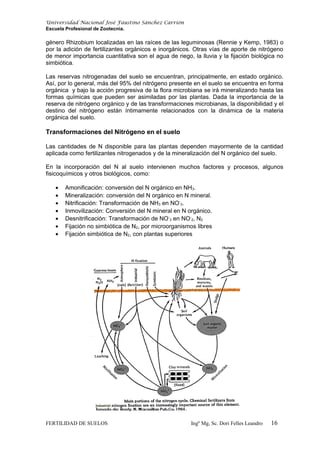 Universidad Nacional José Faustino Sánchez Carrión
Escuela Profesional de Zootecnia.
género Rhizobium localizadas en las raíces de las leguminosas (Rennie y Kemp, 1983) o
por la adición de fertilizantes orgánicos e inorgánicos. Otras vías de aporte de nitrógeno
de menor importancia cuantitativa son el agua de riego, la lluvia y la fijación biológica no
simbiótica.
Las reservas nitrogenadas del suelo se encuentran, principalmente, en estado orgánico.
Así, por lo general, más del 95% del nitrógeno presente en el suelo se encuentra en forma
orgánica y bajo la acción progresiva de la flora microbiana se irá mineralizando hasta las
formas químicas que pueden ser asimiladas por las plantas. Dada la importancia de la
reserva de nitrógeno orgánico y de las transformaciones microbianas, la disponibilidad y el
destino del nitrógeno están íntimamente relacionados con la dinámica de la materia
orgánica del suelo.
Transformaciones del Nitrógeno en el suelo
Las cantidades de N disponible para las plantas dependen mayormente de la cantidad
aplicada como fertilizantes nitrogenados y de la mineralización del N orgánico del suelo.
En la incorporación del N al suelo intervienen muchos factores y procesos, algunos
fisicoquímicos y otros biológicos, como:
• Amonificación: conversión del N orgánico en NH3.
• Mineralización: conversión del N orgánico en N mineral.
• Nitrificación: Transformación de NH3 en NO-
3.
• Inmovilización: Conversión del N mineral en N orgánico.
• Desnitrificación: Transformación de NO-
3 en NO-
2, N2
• Fijación no simbiótica de N2, por microorganismos libres
• Fijación simbiótica de N2, con plantas superiores
FERTILIDAD DE SUELOS Ingº Mg, Sc. Dori Felles Leandro 16
 