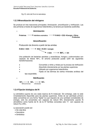 Universidad Nacional José Faustino Sánchez Carrión
Escuela Profesional de Zootecnia.
Fig.10: ciclo del N en la naturaleza.
1.2.3 Mineralización del nitrógeno
Se produce en tres reacciones principales: Aminización, amonificación y nitrificación. Las
dos primeras a través de organismos heterótrofos y la tercera por bacterias autótrofas.
o Aminización
Proteínas hidrólisis enzimático R-NH2 + CO2 +Energía + Otros
Productos
o Amonificación
Producción de Amonio a partir de las amidas
R-NH2 + HOH NH3 + R-OH + energía
+ H2O NH+
4 + OH
Una población de bacterias aerobias y anaeróbicas, hongos y actinomicetos son
capaces de liberar NH+
4. El amonio producido puede sufrir las siguientes
transformaciones:
• Convertido a nitrito y nitrato por le proceso de nitrificación
• Absorbido directamente por las plantas superiores
• Utilizado por organismos heterótrofos,
• Fijado en las láminas de ciertos minerales arcilloso del
tipo expandible.
o Nitrificación
NH+
4 NO-
2 NO-
3
Nitrosomonas nitrobacter
1.2.4 Fijación biológica del N
La atmósfera supone de una vasta reserva de N molecular. Sin embargo, este no está
inmediatamente disponible para las plantas superiores. Antes de ser asimilado primero
debe convertirse en una forma “fijada” la cual requiere de una cantidad considerable de
energía, solo los procariotes son capaces de reducir NH3 directamente usando N
atmosférico como fuente de N. de la 47 familias conocidas solo 11 son capaces de
reducir N2 a NH3.
La asociación puede ser:
• De vida libre
• Asociativa
• Simbiótica
FERTILIDAD DE SUELOS Ingº Mg, Sc. Dori Felles Leandro 17
 