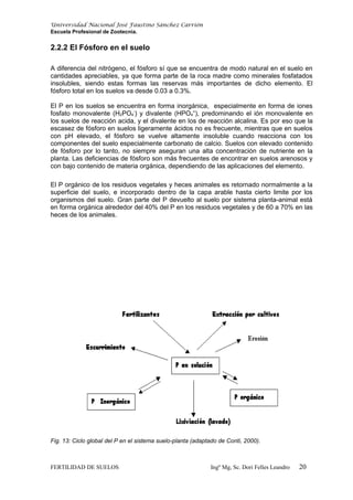 Universidad Nacional José Faustino Sánchez Carrión
Escuela Profesional de Zootecnia.
2.2.2 El Fósforo en el suelo
A diferencia del nitrógeno, el fósforo sí que se encuentra de modo natural en el suelo en
cantidades apreciables, ya que forma parte de la roca madre como minerales fosfatados
insolubles, siendo estas formas las reservas más importantes de dicho elemento. El
fósforo total en los suelos va desde 0.03 a 0.3%.
El P en los suelos se encuentra en forma inorgánica, especialmente en forma de iones
fosfato monovalente (H2PO4
-
) y divalente (HPO4
=
), predominando el ión monovalente en
los suelos de reacción acida, y el divalente en los de reacción alcalina. Es por eso que la
escasez de fósforo en suelos ligeramente ácidos no es frecuente, mientras que en suelos
con pH elevado, el fósforo se vuelve altamente insoluble cuando reacciona con los
componentes del suelo especialmente carbonato de calcio. Suelos con elevado contenido
de fósforo por lo tanto, no siempre aseguran una alta concentración de nutriente en la
planta. Las deficiencias de fósforo son más frecuentes de encontrar en suelos arenosos y
con bajo contenido de materia orgánica, dependiendo de las aplicaciones del elemento.
El P orgánico de los residuos vegetales y heces animales es retornado normalmente a la
superficie del suelo, e incorporado dentro de la capa arable hasta cierto limite por los
organismos del suelo. Gran parte del P devuelto al suelo por sistema planta-animal está
en forma orgánica alrededor del 40% del P en los residuos vegetales y de 60 a 70% en las
heces de los animales.
Fig. 13: Ciclo global del P en el sistema suelo-planta (adaptado de Conti, 2000).
FERTILIDAD DE SUELOS Ingº Mg, Sc. Dori Felles Leandro 20
 
