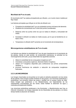 Universidad Nacional José Faustino Sánchez Carrión
Escuela Profesional de Zootecnia.
Movilidad del P en el suelo.
El movimiento del P se realiza principalmente por difusión, y en mucho menor medida por
flujo masal.
Los factores principales que influyen en el ritmo de difusión son:
• Constante de solubilidad del P: es una propiedad química intrínseca del elemento
• Gradiente de concentración de P entre dos puntos considerados
• Distancia entre los puntos entre los que se realiza la difusión y tortuosidad del
medio.
• Humedad: la difusión se realiza en medio acuoso, por lo que se transforma en un
factor crítico.
• Temperatura: la difusión del P aumenta con el incremento de la temperatura.
Microorganismos solubilizadores de P en el suelo
Los factores que afectan la solubilidad de P son de gran importancia en el crecimiento de
las plantas, siendo en este sentido, de fundamental importancia, la actividad de los
microorganismos del suelo, ya que desarrollan las siguientes acciones:
• Alteran la solubilidad de los compuestos inorgánicos de P.
• mineralizan compuestos orgánicos, liberando fósforo inorgánico,
• utilizan el P inorgánico disponible para confeccionar sus primos componentes
celulares, y
• provocan fenómenos de oxidación o reducción de compuestos inorgánicos
fosforados.
2.2.3 LAS MICORRIZAS
Los hongos micorrizales se encuentran en el suelo en estrecha asociación con las raíces
de las plantas. Esos hongos pueden dividirse en dos grupos. Las micorrizas ectotroficas y
endotroficas. Las primeras cubren las raíces y raicillas con un grueso manto de hifas.
Estos hongos que pertenecen a los Basidiomicetos, son dependientes de los
carbohidratos suministrados por las raíces. Estas facilitan la absorción de agua y
nutrientes principalmente fosfatos.
Las micorrizas endotroficas pertenecen a los ficomicetos y Basidiomicetos aquí hay un
infección intracelular, los hongos dependen de los fotosintatos de las plantas y al mismo
tiempo facilita la absorción de fosfatos.
FERTILIDAD DE SUELOS Ingº Mg, Sc. Dori Felles Leandro 21
 