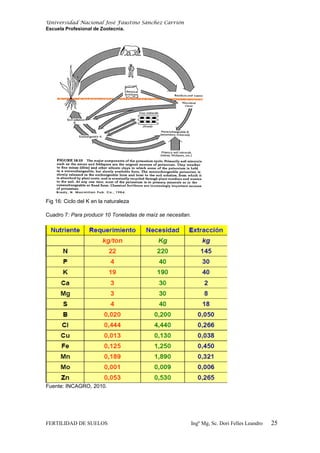 Universidad Nacional José Faustino Sánchez Carrión
Escuela Profesional de Zootecnia.
Fig 16: Ciclo del K en la naturaleza
Cuadro 7: Para producir 10 Toneladas de maíz se necesitan.
Fuente: INCAGRO, 2010.
FERTILIDAD DE SUELOS Ingº Mg, Sc. Dori Felles Leandro 25
 