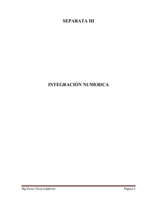 Mg Victor Terry Calderon Página 1
SEPARATA III
INTEGRACIÓN NUMERICA
 