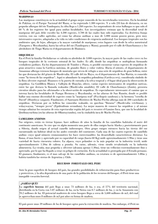 Policía Nacional del Perú TURISMO Y ECOLOGÍA VI Ciclo - 2014 
MARIPOSAS 
Las mariposas constituyen en la actualidad el grupo mejor conocido de los invertebrados terrestres. En la localidad 
de Pakitza, en el Parque Nacional del Manu, se ha registrado 1.300 especies. Y a solo 235 km de distancia, en un 
pequeño albergue del rio Tambopata, la cifra llego a 1.260 especies. Lo sorprendente de estos hallazgos es que solo el 
60 % de los registros fue igual para ambas localidades. Los investigadores estiman que la diversidad total de 
mariposas del país debe exceder las 4.200 especies, 3.700 de las cuales han sido registradas. La desértica franja 
costera, con sus valles agrícolas, así como las alturas andinas a mas de 5.000 msnm poseen pocas, pero muy 
interesantes especies, adaptadas a la vida en tales condiciones de exigencia ambiental. Los bosques tropicales son los 
ambientes que, de lejos, albergan a la mayor variedad de mariposas; estos lugares van desde la selva nororiental 
(Tarapoto y Moyobamba), hasta las selvas del sur (Tambopata y Manu), pasando por el valle de Chanchamayo y los 
alrededores de Tingo Maria en el departamento de Huánuco. 
ORQUIDEAS 
En el Perú la familia Orchidaceae se calcula en alrededor de 3.000 especies, la mayor parte de las cuales crece en los 
bosques tropicales de la vertiente oriental de los Andes. Es allí, donde las orquídeas se multiplican formando 
verdaderos jardines. En los departamentos de Tumbes y Piura, es posible encontrar varias especies de orquídeas de 
gran atractivo como la Cattleya máxima, de grandes flores y color violeta. Hacia el oriente, el departamento de 
Amazonas alberga extensos bosques de montaña que sirven de refugio a una serie de orquídeas de gran belleza, entre 
las que destacan las del género de Masdevalia. El valle del rio Mayo, en el departamento de San Martin, es conocido 
como "la tierra de las orquídeas". Aquí es abundante la orquídea golondrina (Cattleya rex), considerada símbolo de 
la flora silvestre regional. Huanuco es la puerta de entrada a la selva tropical y el lugar ideal para la observación de 
orquídeas. La Cordillera Blanca y Callejón de Huaylas, ofrece, varias especies interesantes de orquídeas nativas, 
entre las que destaca la llamada wakanku (Masdevalia amabilis). El valle de Chanchamayo (Junín), presenta 
circuitos ideales para los aficionados a la observación de orquídeas. Es especialmente interesante el camino que se 
interna hacia las localidades de Pampa Hermosa y Moyobamba, en las afueras de San Ramón, donde es posible 
hallar una enorme diversidad de especies como la "mariposa real" (Psychopsis sanderae) y la hermosa "estrella de 
David" (Huntleya vargasii). Finalmente, el Santuario Histórico de Machu Picchu alberga más de 200 variedades de 
orquídeas. Destacan por su belleza las conocidas wakanki, en quechua "lloraras" (Masdevalia vetchiana), y 
wiñaywayna, "siempre joven" (Epidendrum secundum). La mejor manera de conocer las orquídeas y al mismo 
tiempo admirar los encantos de esta espectacular región del país es recorrer el Camino Inca, que une la localidad de 
Qorihuayrachina (en las afueras de Ollantaytambo), con la ciudadela inca de Machu Picchu. 
CAMELIDOS ANDINOS 
Sus orígenes, están en tierras lejanas: hace millones de años la familia de los camélidos habitaba el norte del 
continente americano. Se cree que en algún momento una parte de ellos emigro hacia Alaska y posteriormente paso 
a Siberia, dando origen al actual camello indoeuropeo. Otro grupo emigro entonces hacia las tierras del sur 
encontrando un hábitat ideal en los andes centrales del continente. Cada una de las cuatro especies de camélido 
andino -cuyo igual número cromosomático los hace entrecruzables- ha desarrollado características distintas: La 
llama, el mas fuerte y apreciado por su capacidad de carga (hasta 60 Kg) mide aproximadamente 1.90m y tiene una 
variedad de hasta cincuenta colores. La alpaca, cuyo pelambre es la más popular en la industria textil, mide 
aproximadamente 1.50m de cabeza a pezuña. Su carne, además, viene siendo revalorizada en la industria 
alimenticia. La vicuña, mas pequeña y silvestre (alcanza apenas 1.30m), tiene un vellocino extremadamente fino y 
apreciado, por lo que ha llegado a estar en peligro de extinción. En la actualidad es protegida por el Estado peruano. 
El guanaco, finalmente, es el mas salvaje de los camélidos andinos, su estatura es de aproximadamente 1.80m y 
habita también las sierras de Argentina y Chile. 
RECURSOS FORESTALES DEL PERU 
Ante la gran superficie de bosques del país, las grandes posibilidades de reforestación para fines productivos 
y protectivos, y la alta dependencia de una parte de la población de los recursos del bosque, el Perú tiene una 
innegable vocación forestal. 
¿SABÍAS QUÉ? 
La superficie boscosa del país llega a unas 73 millones de ha, o sea, el 57% del territorio nacional, 
distribuida en la Costa con 1.87 millones de ha, en la Sierra con 0.7 millones de ha, y en la Amazonía con 
70.2 millones de ha. El potencial maderero de estos bosques llega a cerca de 5,600 millones de m3, del cual 
se aprovechan unos 8 millones de m3 por años en forma de madera. 
El país posee unas 39 millones de ha de bosques aptos para la extracción de madera. Sin embargo, el Perú no 
Dr. Alex M. Hernández Torres Pág. 28 
 