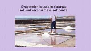 Evaporation is used to separate
salt and water in these salt ponds.
 