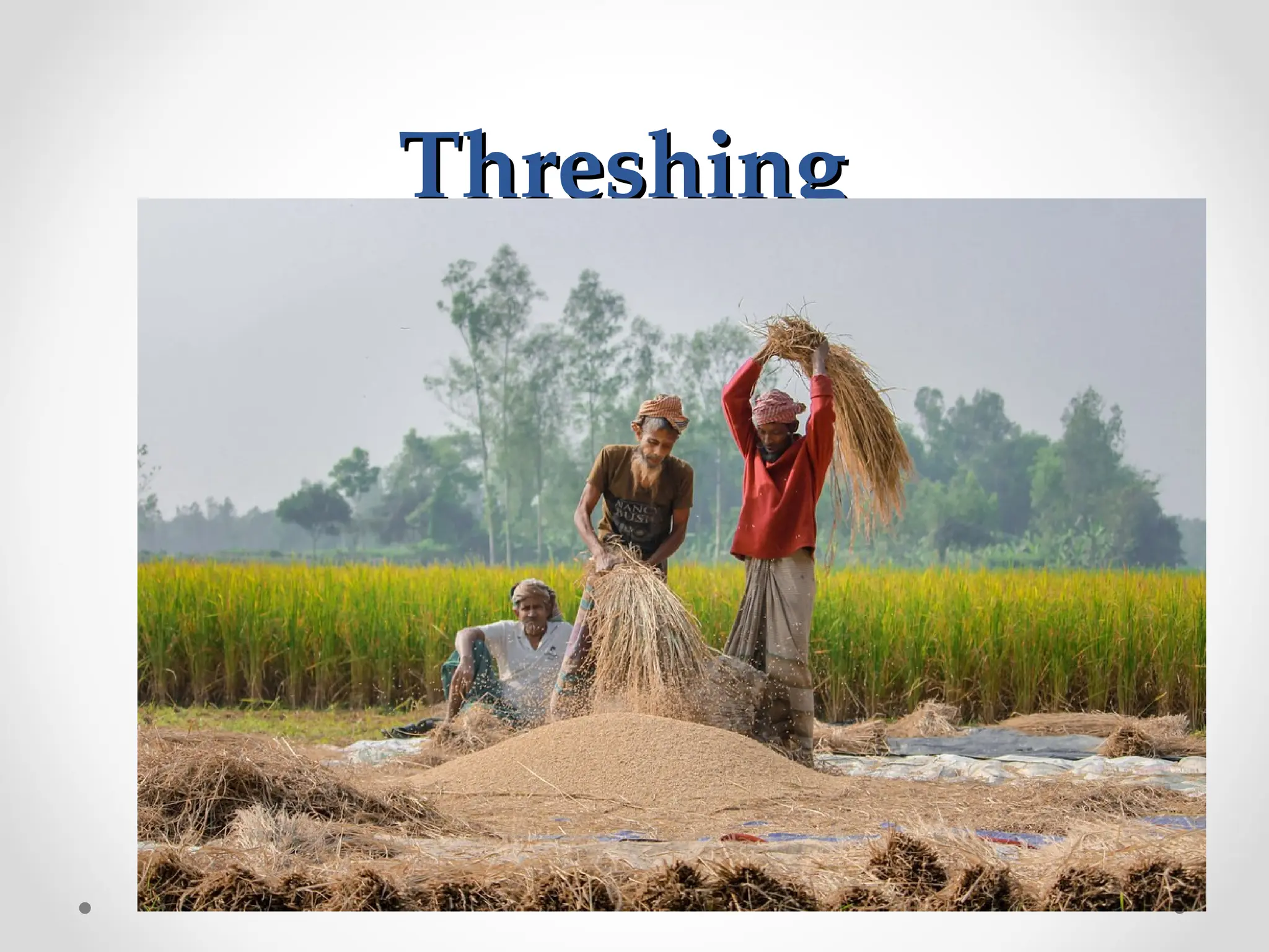 Threshing
Threshing