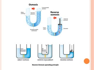 Separation Process's Separation process | PPTX
