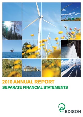 2010 ANNUAL REPORT
SEPARATE FINANCIAL STATEMENTS
 