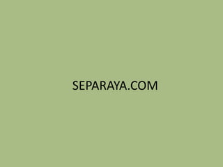 SEPARAYA.COM

 
