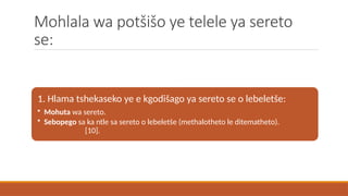 sepedi-hl-letlakala-la-bobedi-theto-sonete-pptx