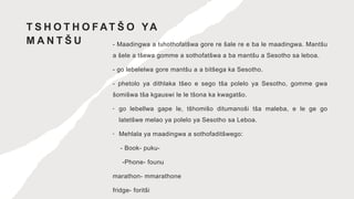 sepedi presentation 3A.pptx Tlhalošo ya maadingwa | PPTX