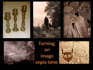 Sepia images
