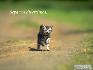 Sepamos divertirnos,   