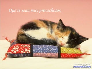 Que te sean muy provechosos, 