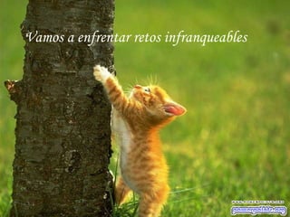 Vamos a enfrentar retos infranqueables 