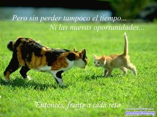 Entonces, frente a cada reto
Pero sin perder tampoco el tiempo...
Ni las nuevas oportunidades...
 