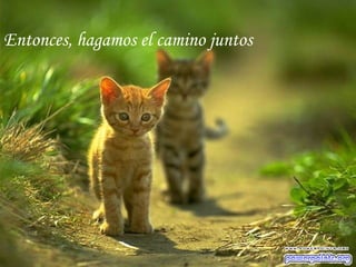 Entonces, hagamos el camino juntos
 