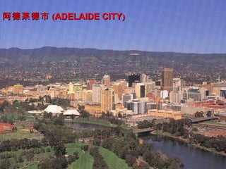 阿德莱德市 (ADELAIDE CITY)
 