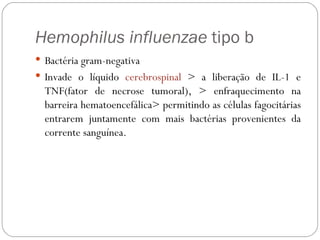 Hemophilus influenzae  tipo b  Bactéria gram-negativa  Invade o líquido  cerebrospinal  > a liberação de IL-1 e TNF(fator de necrose tumoral), > enfraquecimento na barreira hematoencefálica> permitindo as células fagocitárias entrarem juntamente com mais bactérias provenientes da corrente sanguínea. 
