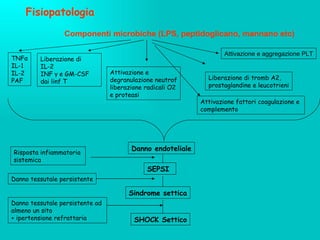 Fisiopatologia Componenti microbiche (LPS, peptidoglicano, mannano etc) TNF α IL-1 IL-2 PAF Liberazione di IL-2 INF  γ  e GM-CSF  dai linf T Liberazione di tromb A2,  prostaglandine e leucotrieni Attivazione e aggregazione PLT Attivazione fattori coagulazione e  complemento Attivazione e degranulazione neutrof liberazione radicali O2 e proteasi Danno endoteliale SEPSI Sindrome settica SHOCK Settico Risposta infiammatoria  sistemica Danno tessutale persistente Danno tessutale persistente ad  almeno un sito + ipertensione refrattaria 