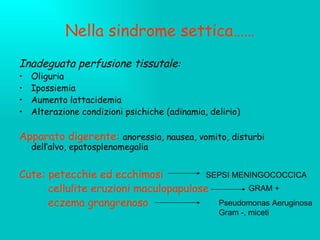 Nella sindrome settica…… Inadeguata perfusione tissutale : Oliguria Ipossiemia Aumento lattacidemia Alterazione condizioni psichiche (adinamia, delirio) Apparato digerente:  anoressia, nausea, vomito, disturbi dell’alvo, epatosplenomegalia Cute: petecchie ed ecchimosi cellulite eruzioni maculopapulose  eczema grangrenoso  SEPSI MENINGOCOCCICA GRAM + Pseudomonas Aeruginosa Gram -, miceti 