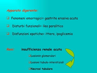 Apparato digerente:   Fenomeni emorragici= gastrite erosiva acuta Disturbi funzionali= ileo paralitico Disfunzioni epatiche= ittero, ipoglicemia Reni:  insufficienza renale acuta Lesionin glomerulari Lesioni tubulo-interstiziali Necrosi tubulare 