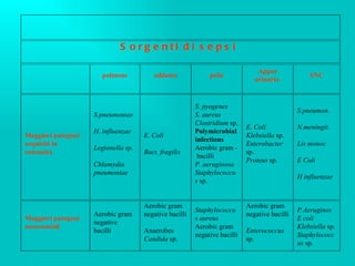 Sorgenti di sepsi     polmone addome pelle Appar urinario  SNC Maggiori patogeni acquisiti in comunità S.pneumoniae   H. influenzae   Legionella sp.   Chlamydia pneumoniae E. Coli   Bact. fragilis S. pyogenes   S. aureus   Clostridium  sp.  Polymicrobial infections   Aerobic gram -  bacilli  P. aeruginosa   Staphylococcus  sp. E. Coli   Klebsiella  sp.  Enterobacter  sp.  Proteus  sp. S.pneumon. N.meningit. Lis monoc E Coli   H influenzae Maggiori patogeni nosocomiali Aerobic gram negative bacilli Aerobic gram negative bacilli  Anaerobes  Candida  sp. Staphylococcus aureus   Aerobic gram negative bacilli Aerobic gram negative bacilli  Enterococcus  sp. P.Aeruginos E coli   Klebsiella  sp. Staphylococcus  sp. 